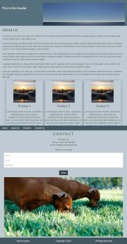 Example Website 2